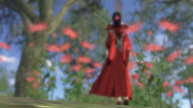 LCD党真的只是少部分人吗？